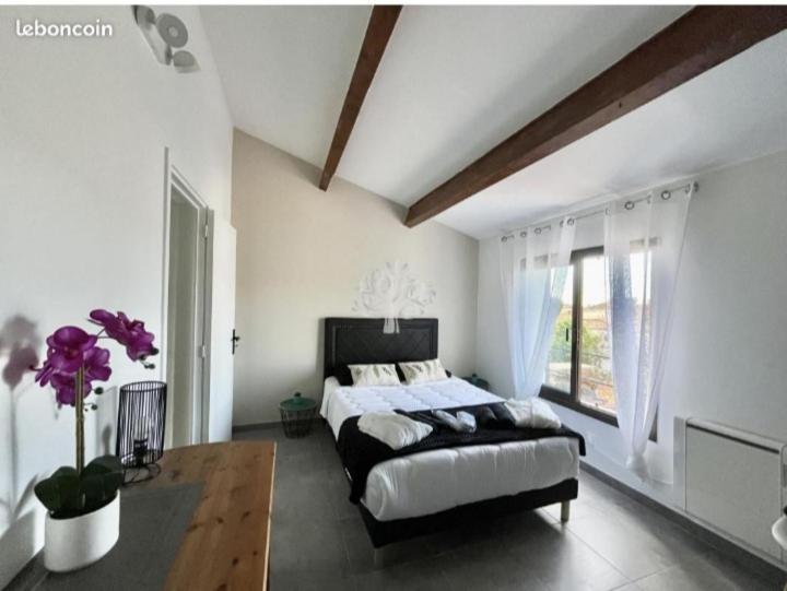 Villa Bandol Proche Du Port Et Des Plages Exteriér fotografie